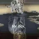 Çıkartma