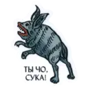 Stiker