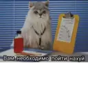 Стикер