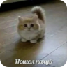 Стикер