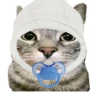 Стикер