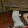 Çıkartma