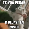 贴纸
