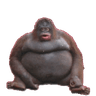 Samolepka