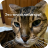 Стикер