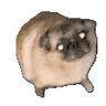Samolepka