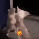 Stika