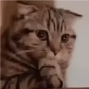 Nhãn dán