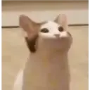 Nhãn dán