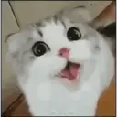 Nhãn dán