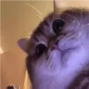 Nhãn dán