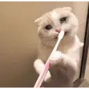 ملصق