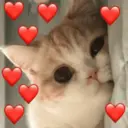 스티커
