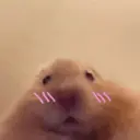 스티커