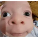 اسٹیکر