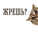 Стикер