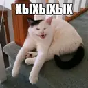 Стикер