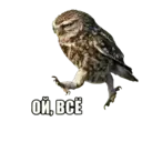 Стикер