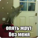 Стикер