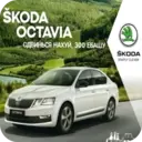 Samolepka