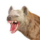 ਸਟਿਕਰ