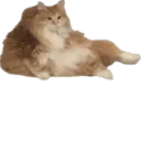 ਸਟਿਕਰ