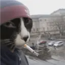 ملصق