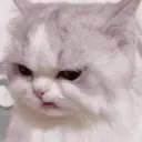 מדבקה