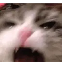 מדבקה