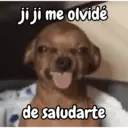Stika
