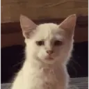 Çıkartma