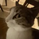 Çıkartma