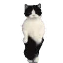 ਸਟਿਕਰ
