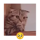 Stika