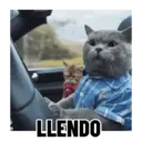 Stika