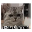 Stika
