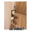 Stika