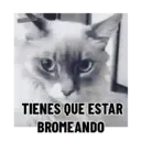 Stika