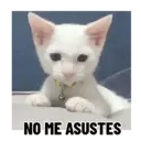 Stika