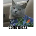 Stika