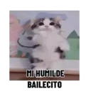 Çıkartma