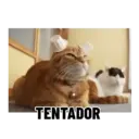 Stika