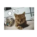 Stika