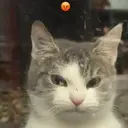 Çıkartma