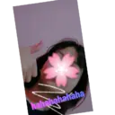 ਸਟਿਕਰ