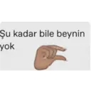 Ngjitës