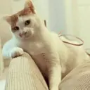 Çıkartma
