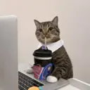 Çıkartma