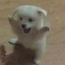 Figurinha