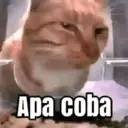 Çıkartma